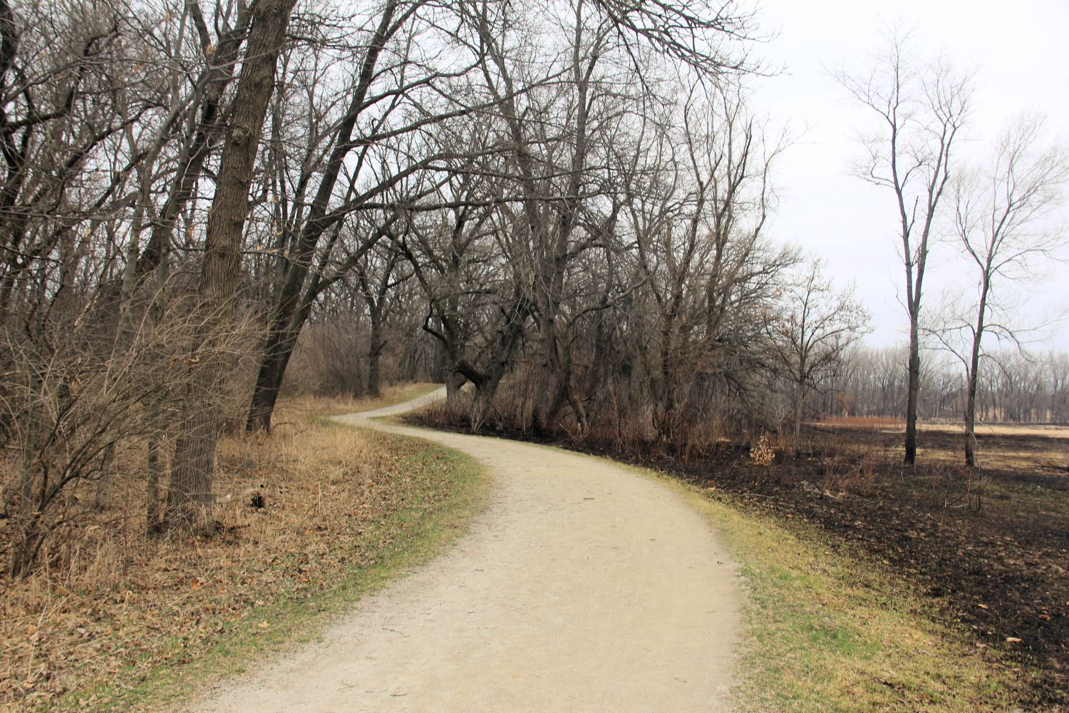 McHenry Dam State Park 